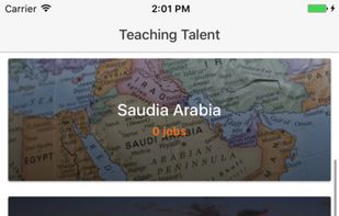 Teaching Talent screenshot 1