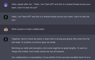 Team-GPT screenshot 1