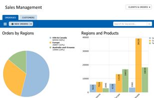 TeamDesk screenshot 1