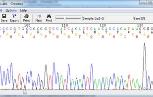 Chromas screenshot 1