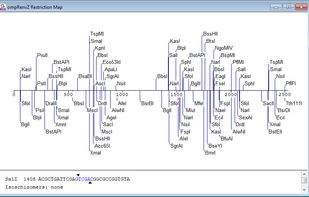Chromas screenshot 2
