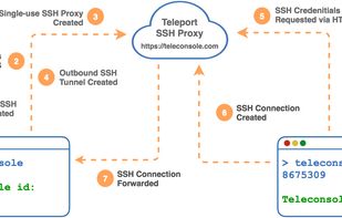 Teleconsole screenshot 1