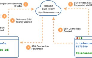 Teleconsole screenshot 1