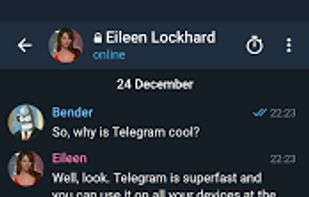 Telegram X screenshot 2