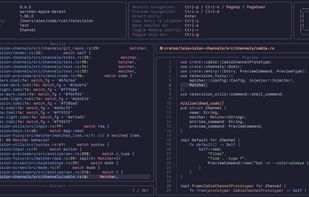 Television screenshot 1