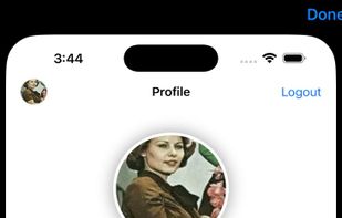 Profile page, optional information like social media link handles, preset status