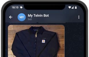 Telvin Bot screenshot 1