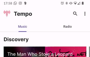 Tempo Subsonic Client screenshot 1