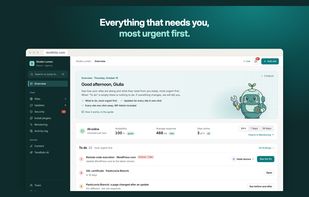 Dashboard: what needs your attention across all sites, sorted by urgency — vulnerabilities, expiring SSL certificates, pages that changed after an update.