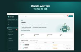 Updates: every pending plugin, theme and WordPress core update across all sites in one list. Select and update them in bulk, with a database backup first.