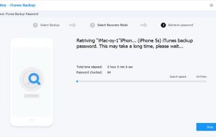 Tenorshare 4uKey - iTunes Backup screenshot 3