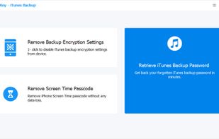 Tenorshare 4uKey - iTunes Backup screenshot 1
