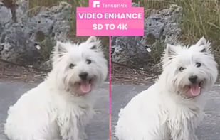  TensorPix  screenshot 3