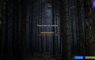 Allow users to rate your website or service.