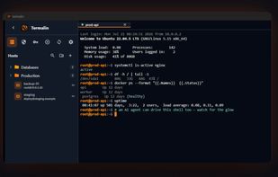 Termalin screenshot 2