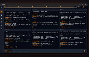 Termalin screenshot 3