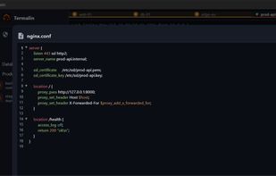 Build-in Editor