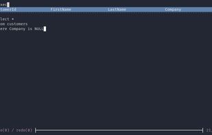 Termdbms screenshot 1