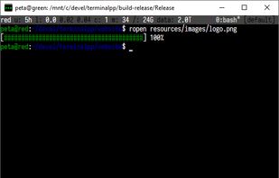 terminalpp transfering remote file for opening on local machine.
