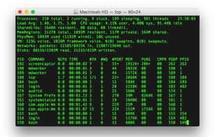Terminal screenshot 1