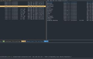 termscp screenshot 1
