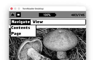 TernOS screenshot 1