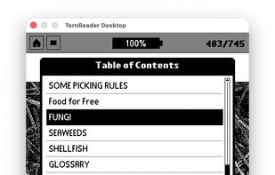TernOS screenshot 1