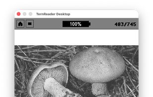 TernOS screenshot 2