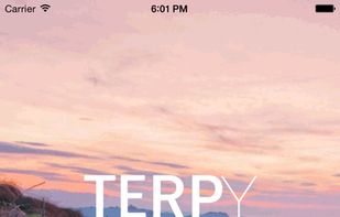 Terpy screenshot 1