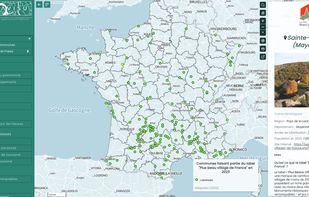 TerraVisu screenshot 1