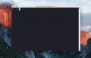 TestCafe screenshot 3