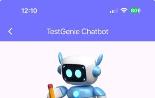 TestGenie screenshot 2