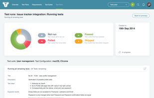 Executing test cases interface