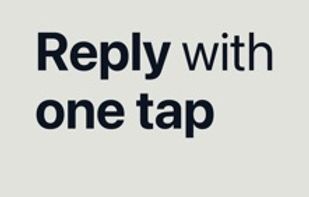 Canned Replies screenshot 2
