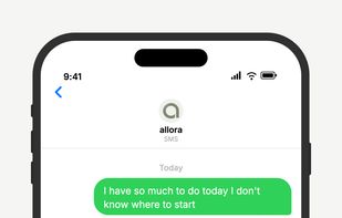 Text a list of to-dos and allora sorts them, schedules reminders at the right time, and nudges you when it's time to act.