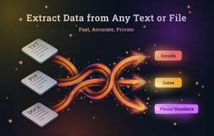 DataSieve: Text to Data screenshot 1