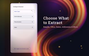 DataSieve: Text to Data screenshot 2