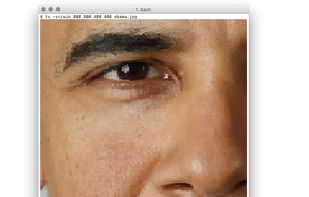 textview screenshot 2