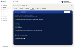 Interactive CMD and PowerShell shell on a live endpoint