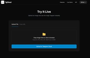 Try Section