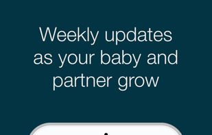 The Big Daddy screenshot 2