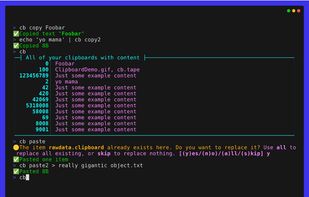 The Clipboard Project screenshot 1