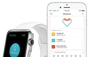 The Diary™ screenshot 1