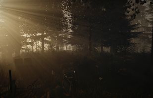 The Forest screenshot 3