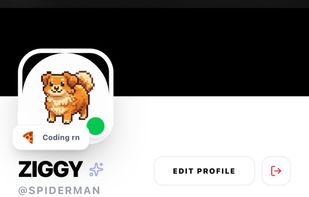 Fully customizable profile