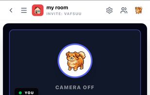 In app Video chat
