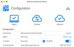 Details about your client connection and service control.