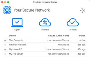 A list of all the system in your private network including their DNS names and status.