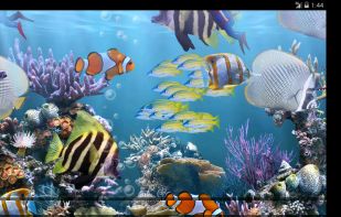 The real aquarium HD screenshot 1
