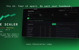 The Scaler screenshot 1